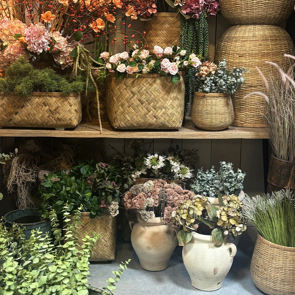 plantes-pot-plantes-un-jour-une-maison