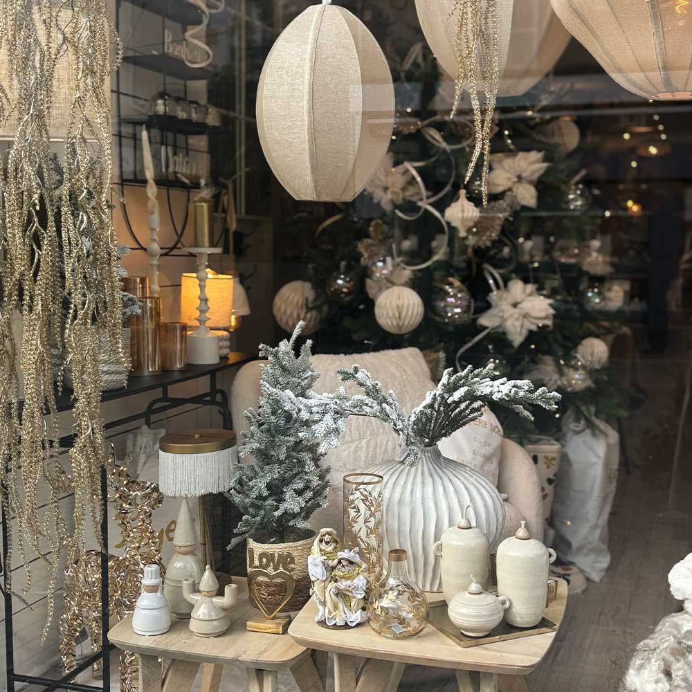 vitrine-noel-linstant-maison
